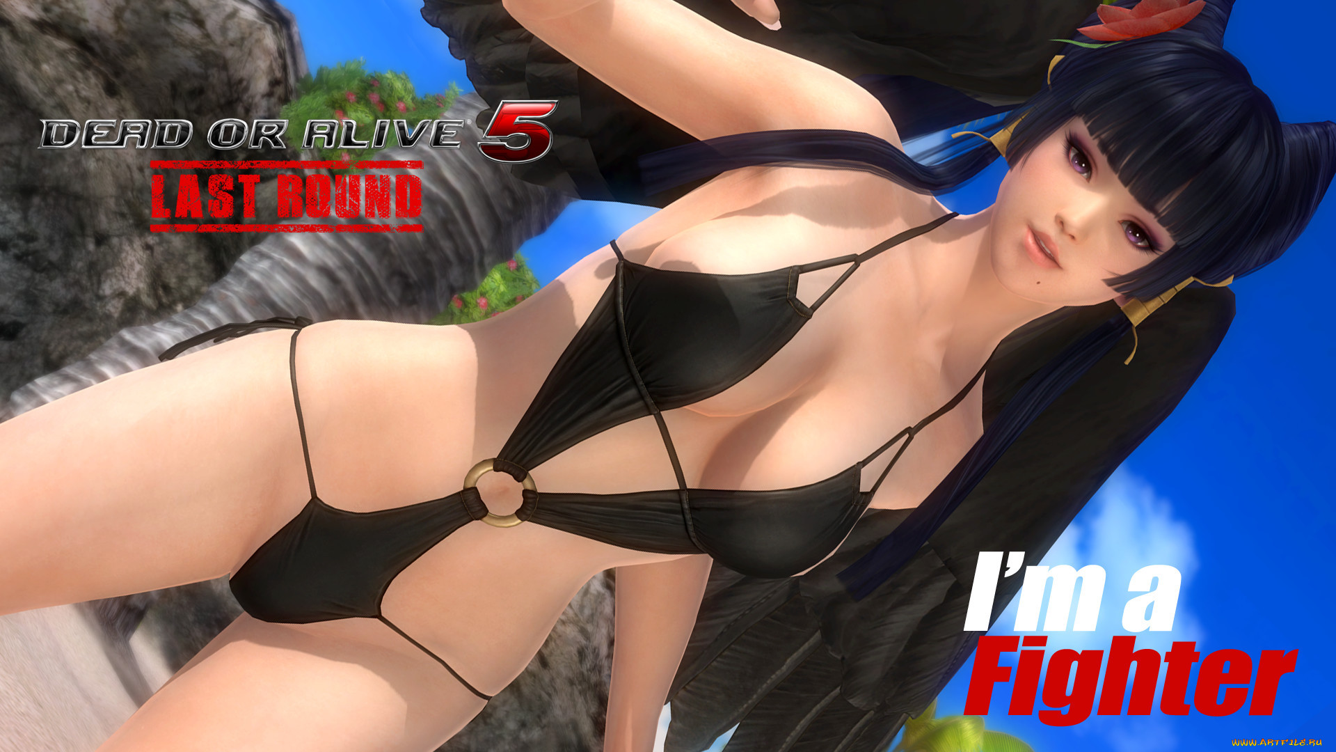  , dead or alive 5, , , 